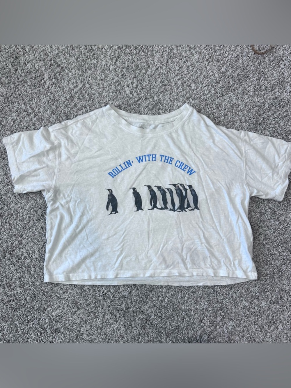 Aerie Penguins Rollin with the Crew cropped short sleeve relaxed soft t shirt